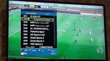 بأحدث تردد.. استقبل قناة الجزائرية الأرضية على نايل سات لمتابعة أهم المباريات